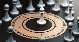THE HISTORY AND IMPORTANCE OF TEMPERAMENT