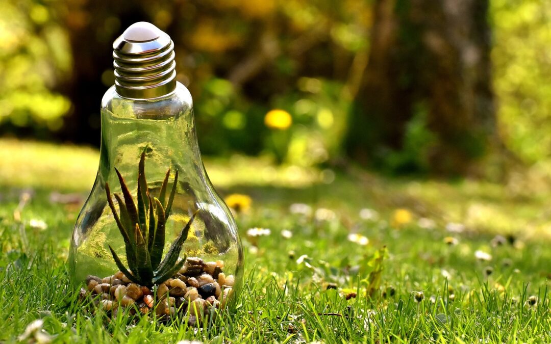 THE POWER OF IDEAS